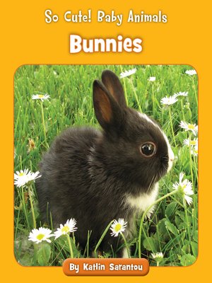 cover image of Bunnies